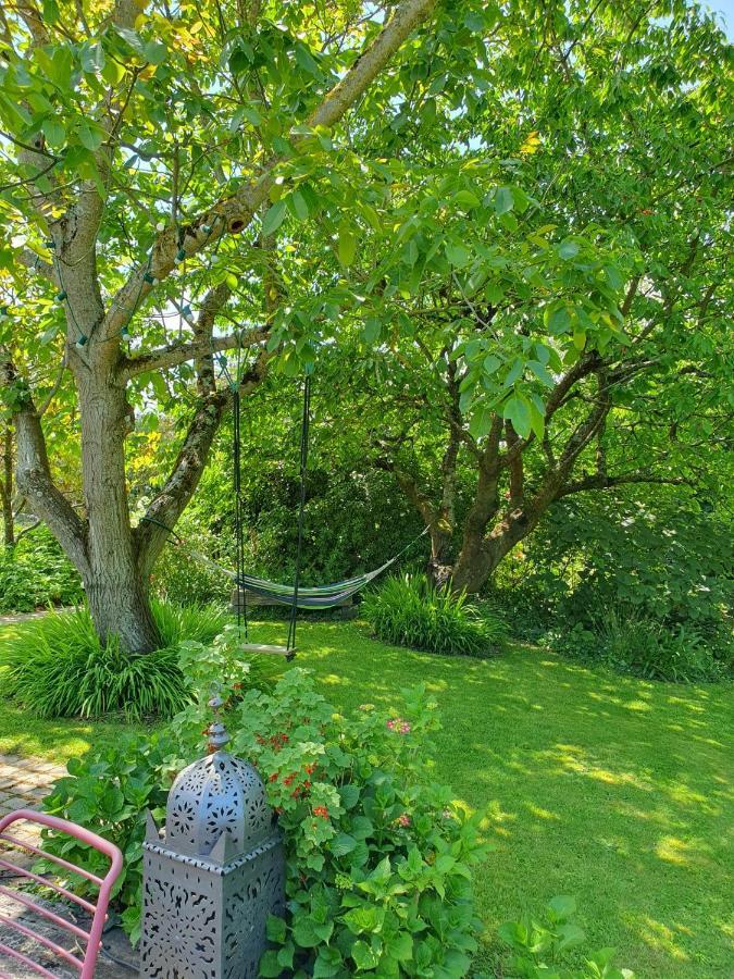 Maison En Pierre Dans Son Nid De Verdure Roz-Landrieux Exteriér fotografie
