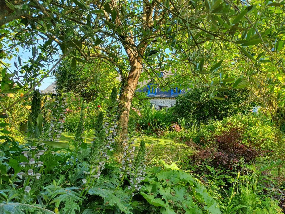 Maison En Pierre Dans Son Nid De Verdure Roz-Landrieux Exteriér fotografie