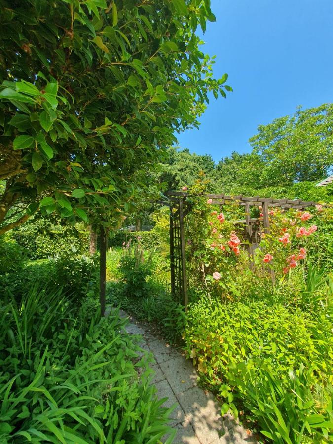 Maison En Pierre Dans Son Nid De Verdure Roz-Landrieux Exteriér fotografie