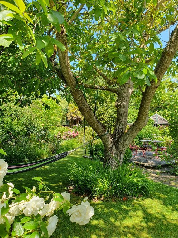 Maison En Pierre Dans Son Nid De Verdure Roz-Landrieux Exteriér fotografie